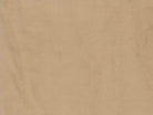 [drive:1cHUaDbfmK434GvJaByfGEsE3ZBl25L1A:Visone] Visone / XL