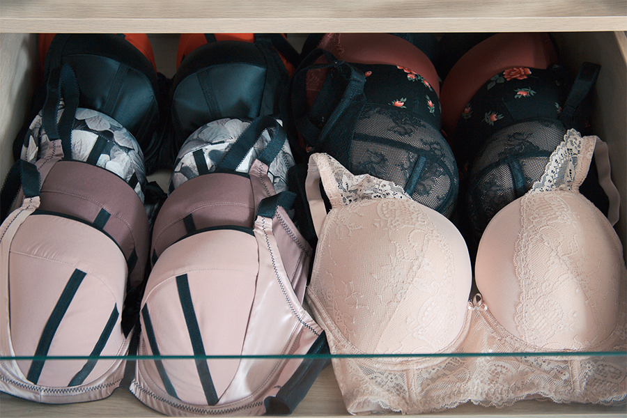 Donate your bras and lingerie